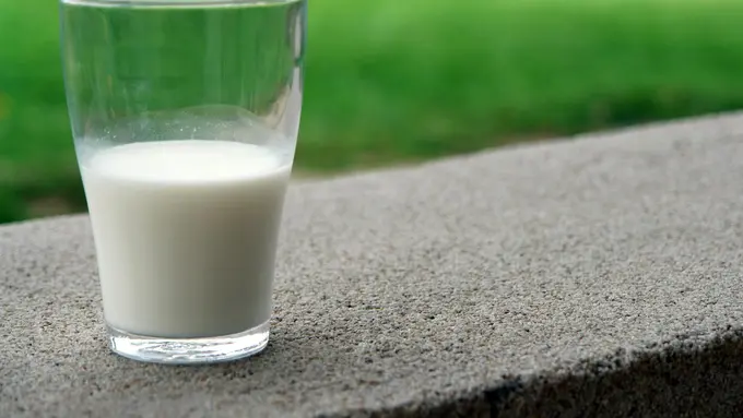 4 Makanan Kaya Kalsium dan Vitamin D yang Penting untuk Kesehatan Tulang Lansia