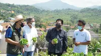 Menteri BUMN, Erick Thohir meninjau lahan kosong sebuah masjid di Bandung yang sukses diubah menjadi pertanian modern berkat dukungan PT PLN.