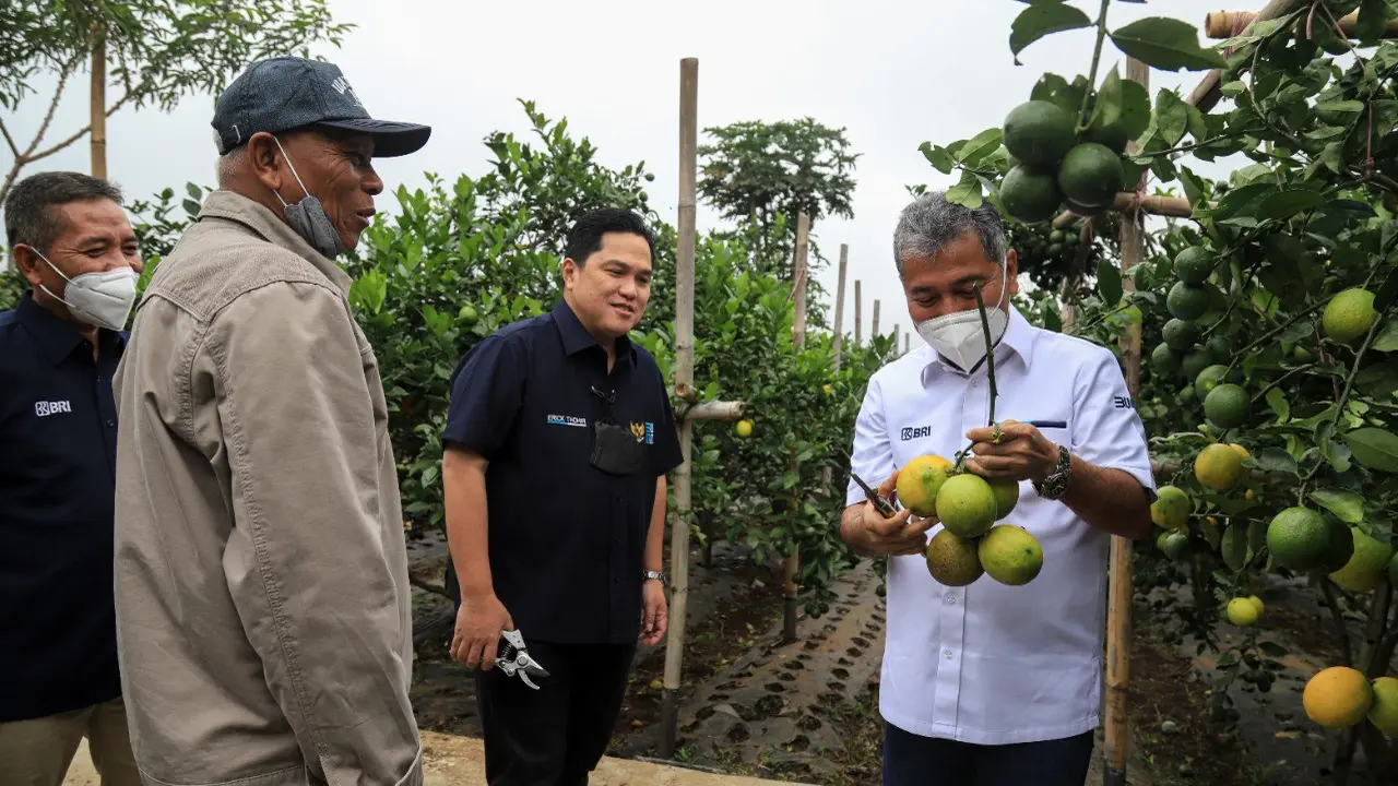 Menteri BUMN Erick Thohir Apresiasi Klaster Pertanian Binaan BRI di Bandung