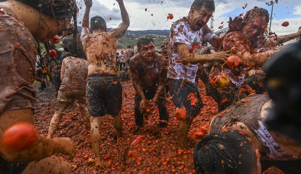 Festival Tomatina ini sudah memasuki tahun kesepuluh.(AFP/Juan Barreto)