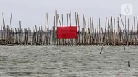 Papan segel Dirjen PSDKP KKP telah dipasang di kawasan pagar laut Pesisir Tarumajaya sejak Rabu 15 Januari 2025. (Liputan6.com/Herman Zakharia)