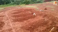 Batu Tanpa Nama di 5 Makam Terduga Teroris Ciputat