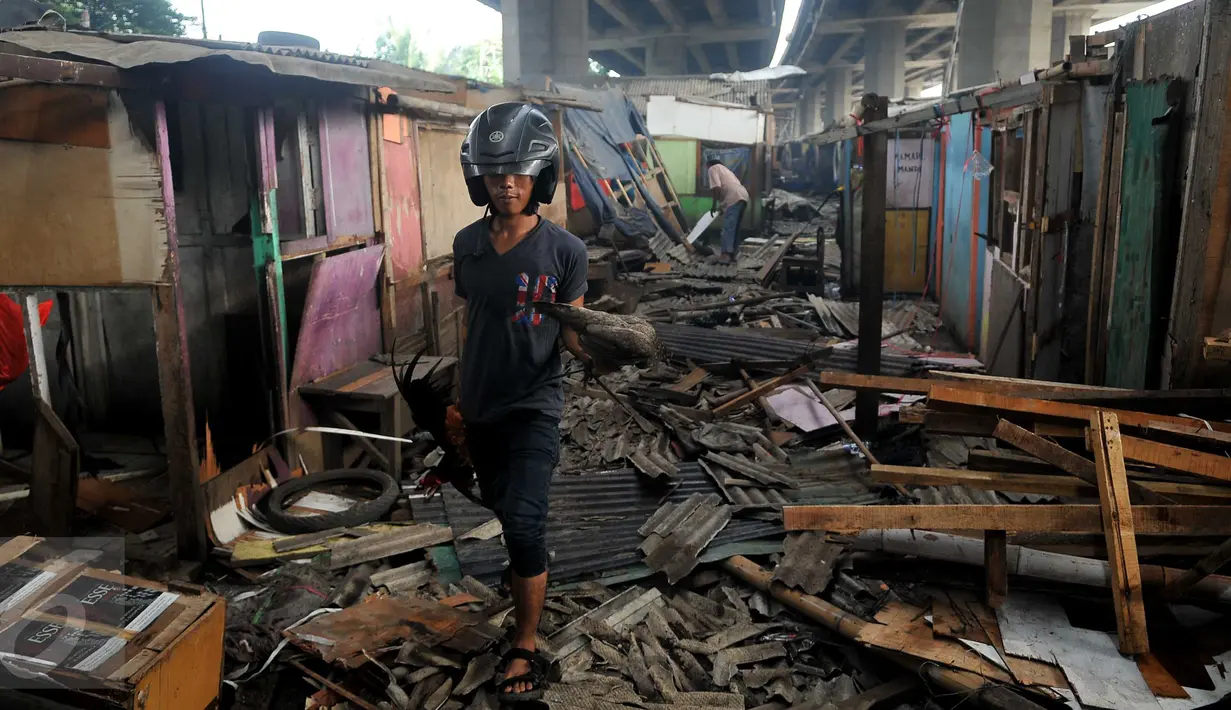 Warga Kolong Tol Pluit memindahkan barang miliknya di Bawah Tol Pluit (Prof DR Ir Sediyatmo), Jakarta, Selasa (3/1). Gubernur DKI Jakarta Basuki Tjahaja Purnama berencana untuk merapikan kawasan rumah liar tersebut. (Liputan6.com/Gempur M Surya)