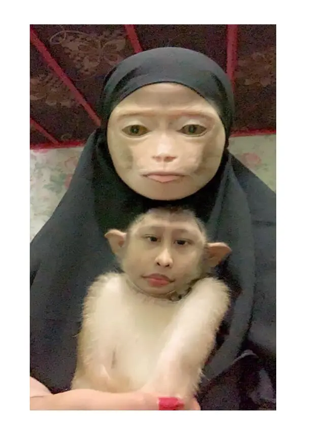 5 Editan Foto Kucing Tukar Wajah dengan Pemiliknya Ini Bikin Geleng Kepala