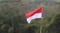 Kata-Kata 17 Agustus Hari Kemerdekaan Indonesia (Gambar oleh Mufid Majnun dari Pixabay)