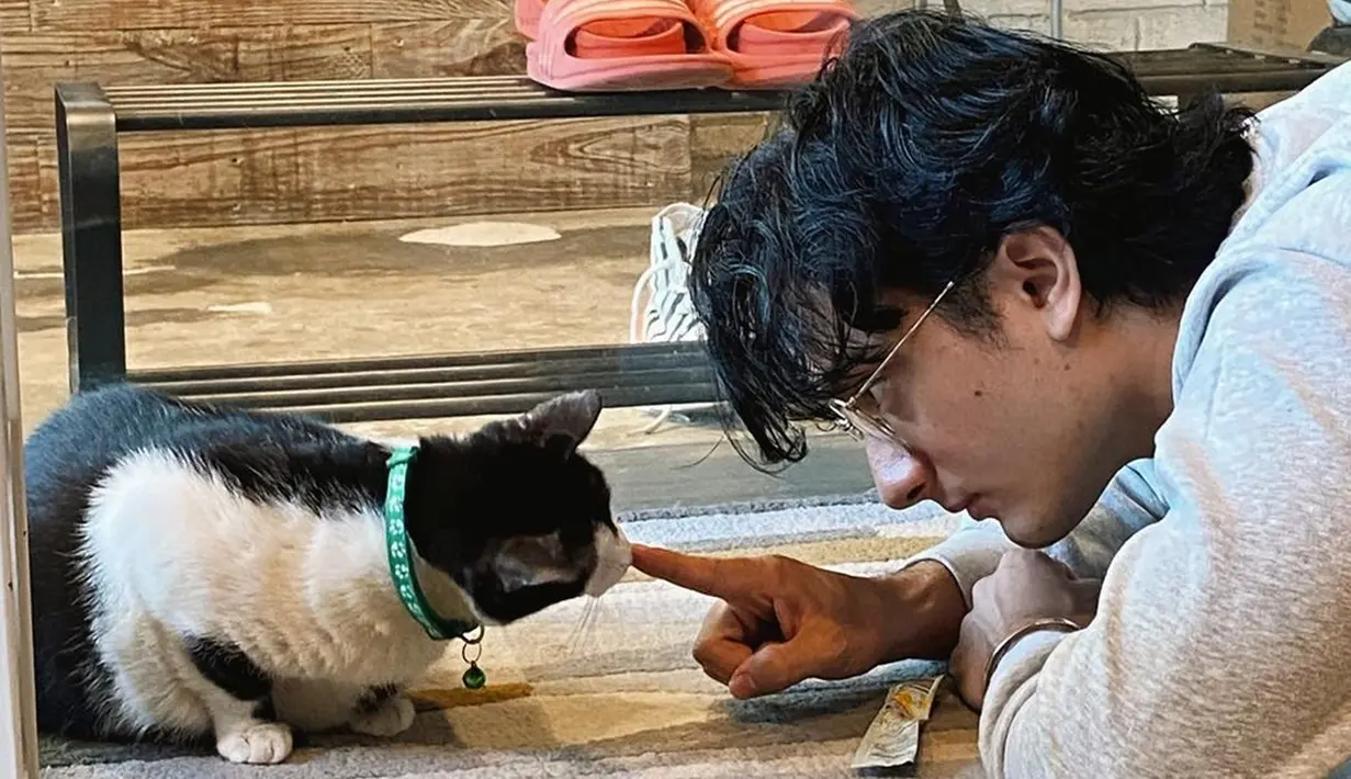 Di sela kesibukannya di dunia entertain, Bryan Domani masih menyempatkan waktu untuk bermain dengan kucing. Penuh dengan kasih sayang, kucing pun luluh dan senang diajak main olehnya. Warganet menyebut, tak hanya kucingnya yang menggemaskan, tapi sang aktor juga bikin gemas. (Liputan6.com/IG/@bryandomani_bd_)
