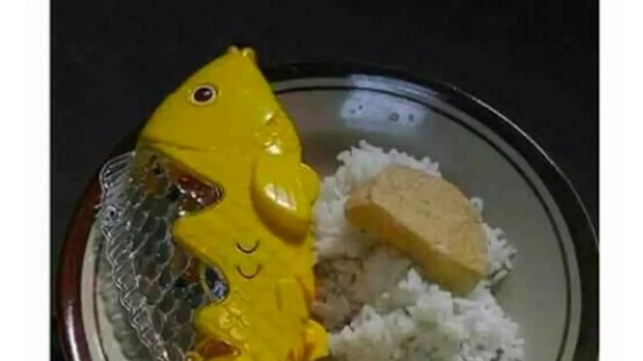 10 Lauk Makan Pakai Ikan Ini Dijamin Enggak Bikin Kenyang, Kocak