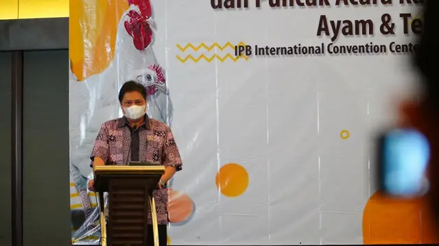 Menteri Koordinator Bidang Perekonomian Airlangga Hartarto