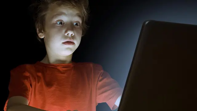Pornografi Picu Anak Lakukan Kejahatan Seksual