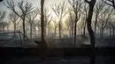 Kondisi sebuah perkemahan yang hangus akibat kebakaran hutan dekat Mazagon, Spanyol selatan, Minggu (25/6). Kebakaran hutan itu mengancam Taman Nasional Donana, salah satu cagar alam negara yang paling penting. (AP Photo/Alberto Diaz)