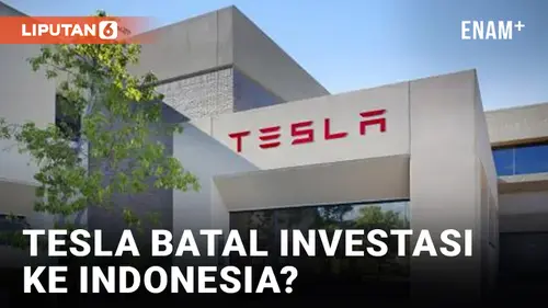 VIDEO: Tesla Investasi ke Thailand, Batal ke Indonesia?