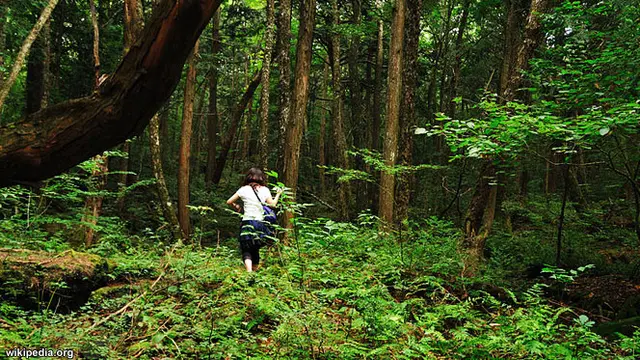 hutan-seram130122b.jpg