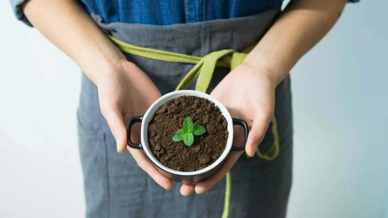 Ini Cara Membuat Body Scrub dari Tanah Liat