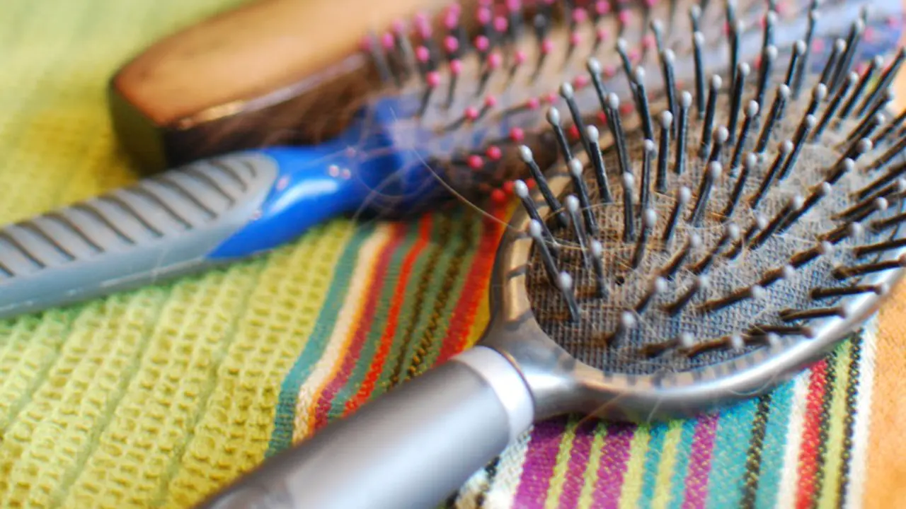 Hairbrush - errine