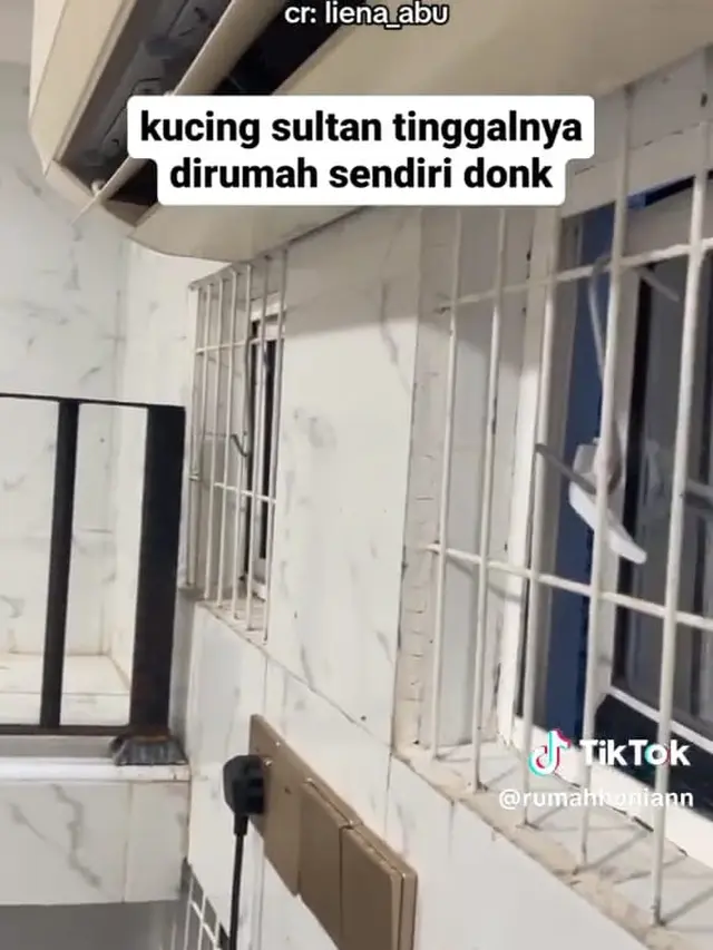 Rumah Kucing Bak Istana Sultan