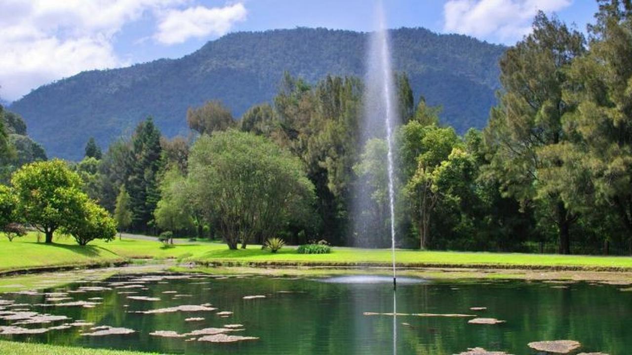 Kebun Raya Bali Tempat Wisata yang Rawat Pohon Berusia 1 Abad