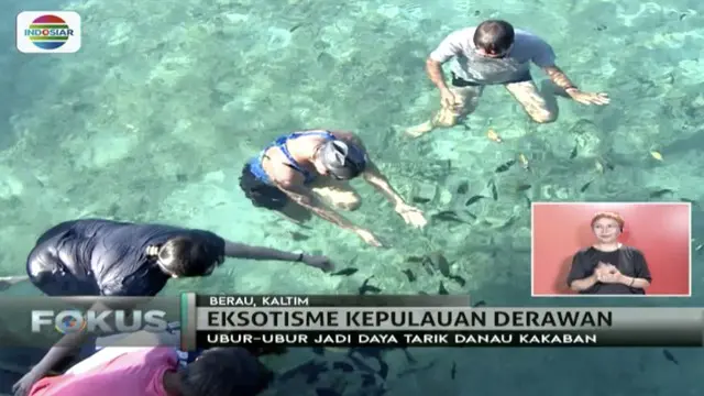 Jernihnya Laut di Kepulauan Derawan  