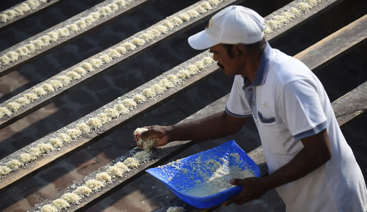 Joseph Sekar menyiapkan makan untuk burung Parkit di Chennai, India, Jumat (17/3). Joseph Sekar menjelaskan dalam sehari ia menghabiskan uang sebesar 425 Rupee (6 USD) untuk memberi makan burung Parkit peliharaannya. (AFP PHOTO / ARUN Sankar)