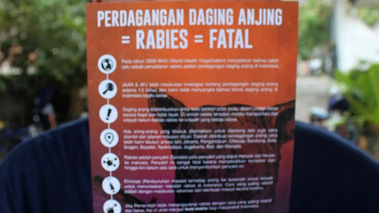 215 Ekor Anjing Dibunuh Tiap Hari untuk Konsumsi di Yogyakarta 