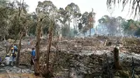 Pemukiman Suku Baduy Luar terbakar kemarin malam. (Liputan6.com/Yandhi Deslatama).
