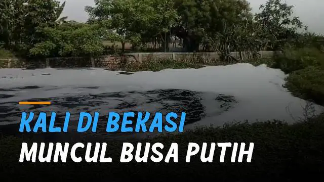 Sebuah kali di Bekasi dipenuhi busa putih seperti awan. peristiwa itu terjadi di sekitar Kali Rasmi, Kampung Pelaukan, Desa Karang Rahayu, Karangbahagia, Kabupaten Bekasi.