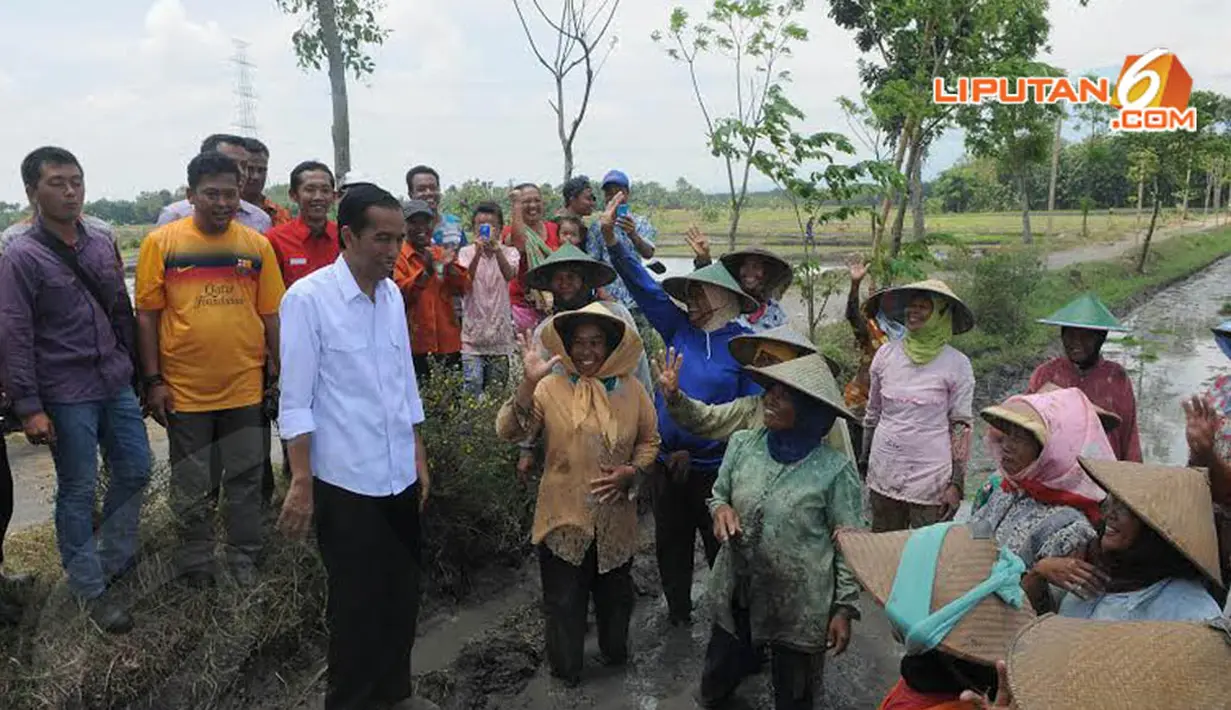 Dalam kesempatan itu Jokowi mencoba berdialog dengan petani (Liputan6.com/Herman Zakharia) 