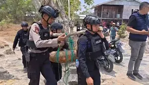 Berburu Benda Kuno, Warga Sulsel Malah Dapat Bom Pesawat Peninggalan Jepang