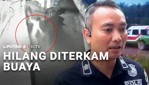 Sedang Perbaiki Perahu, Pekerja Hilang Diterkam Buaya