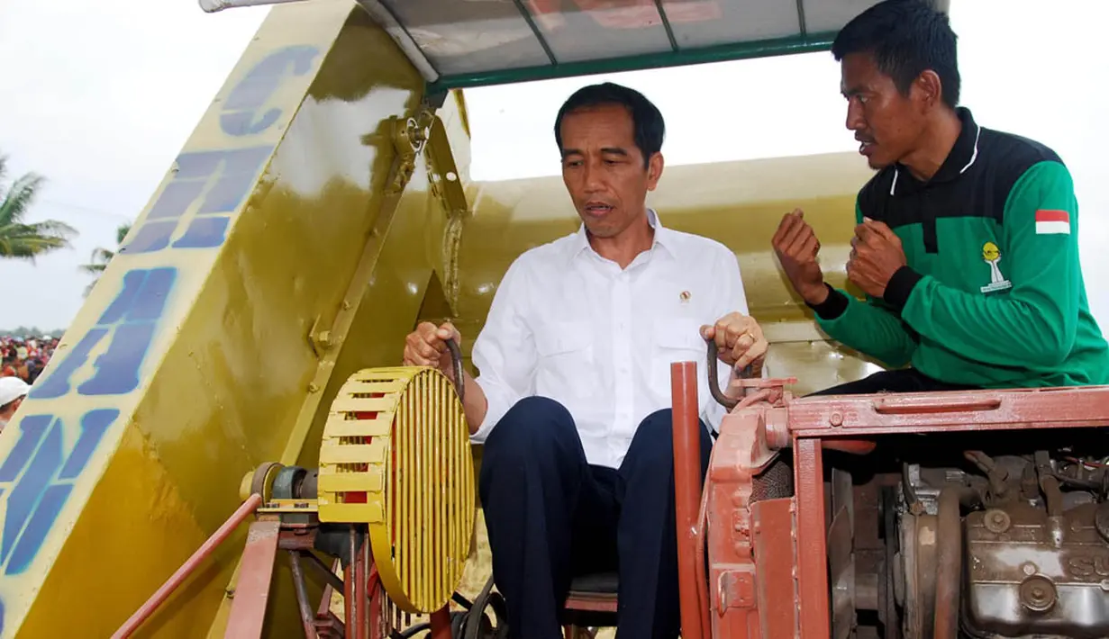 Presiden Jokowi mencoba mengoperasikan mesin panen padi buatan warga setempat di Kabupaten Pinrang, Sulawesi Selatan, Rabu (5/11/2014). (Rumgapres/Agus Suparto)