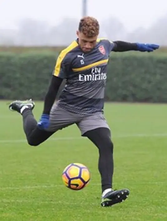 Meskipun belum ada pernyataan resmi dari keduanya, namun unggahan Perried Edwards nampaknya cukup kuat untuk menjadi bukti. Terlebih dengan komentar sahabatnya, Jessy Nelson. (Instagram/Alexoxchamberlain)