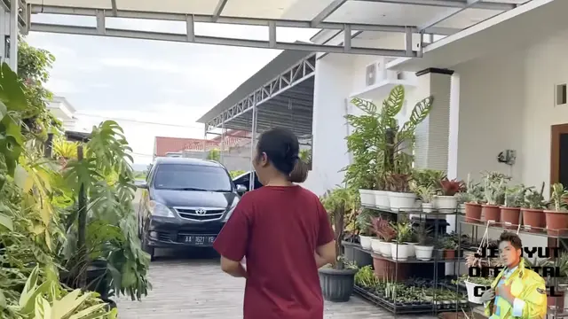 Potret Halaman Belakang Rumah Soimah di Jogja