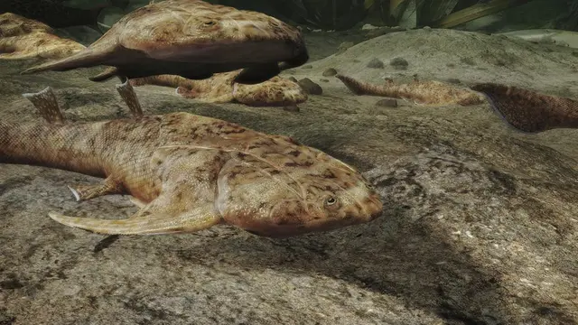 Fosil Ikan dengan Gigi Tertua Ditemukan di China.