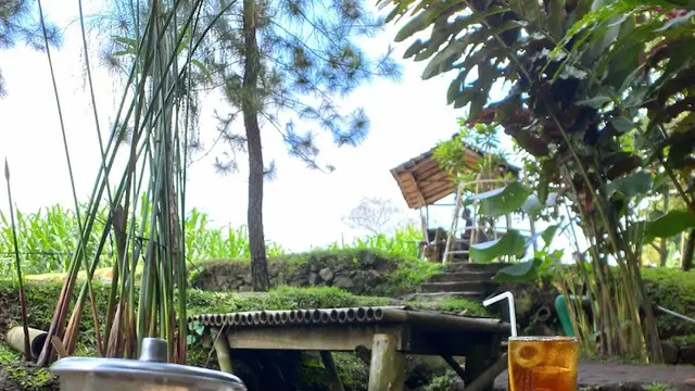 Rekomendasi Tempat Makan Lesehan Enak di Jogja