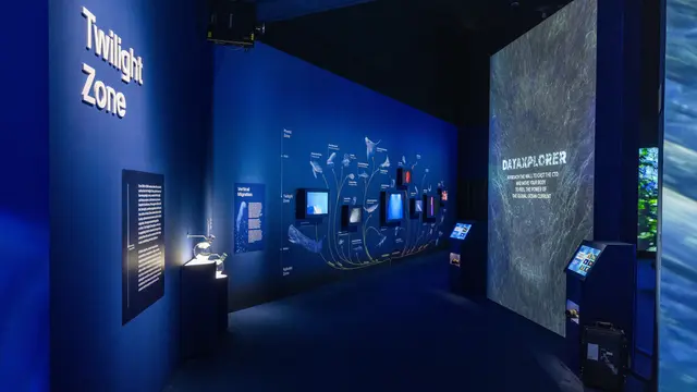 Jelajahi Misteri Laut Dalam Pameran Into the Ocean di ArtScience Museum Singapura