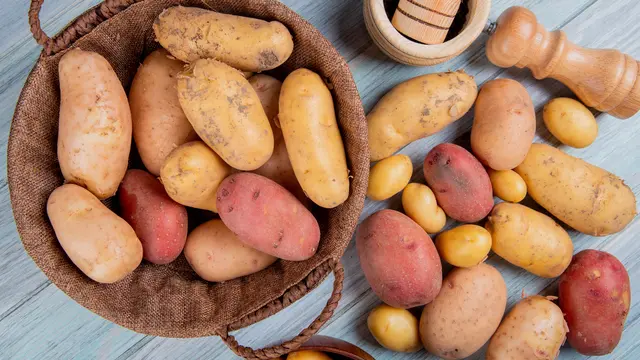 umbi-umbian dan kentang