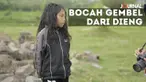 Setiap tahun masyarakat Dataran Tinggi Dieng menggelar ritual pemotongan rambut anak-anak dengan penampilan fisik khusus: rambut gimbal