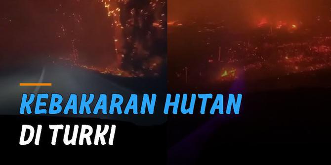 VIDEO: Viral Kebakaran Hutan di Turki