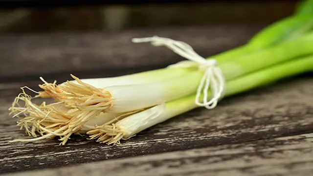 Daun Bawang