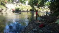 Ribuan ikan sekarat muncul di permukaan Sungai Bedok Bantul seiring mengalirnya limbah dari pabrik gula. (Liputan6.com/Yanuar H)