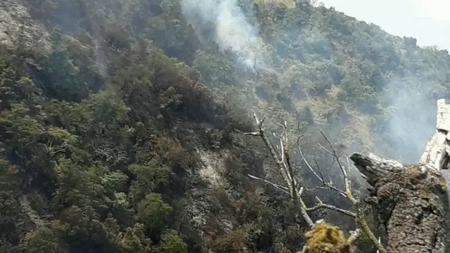 Sisa kebakaran Gunung Slamet di ketinggian sekitar 2.650 mdpl. (Foto: Liputan6.com/BPBD Banyumas/Muhamad Ridlo)
