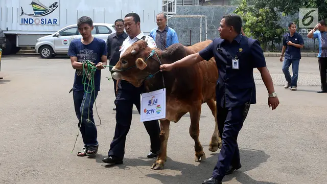PHOTO: SCTV, Indosiar dan SCM Sumbang Hewan Kurban