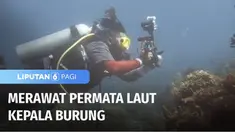 Siapa yang tidak terkagum-kagum dengan keindahan bawah laut Raja Ampat, Papua Barat? Untuk menjaga kelangsungan dari terumbu karang dan ikan-ikan di dalamnya, sekelompok peneliti melakukan pemantauan berkelanjutan agar surga bawah laut tetap lestari.