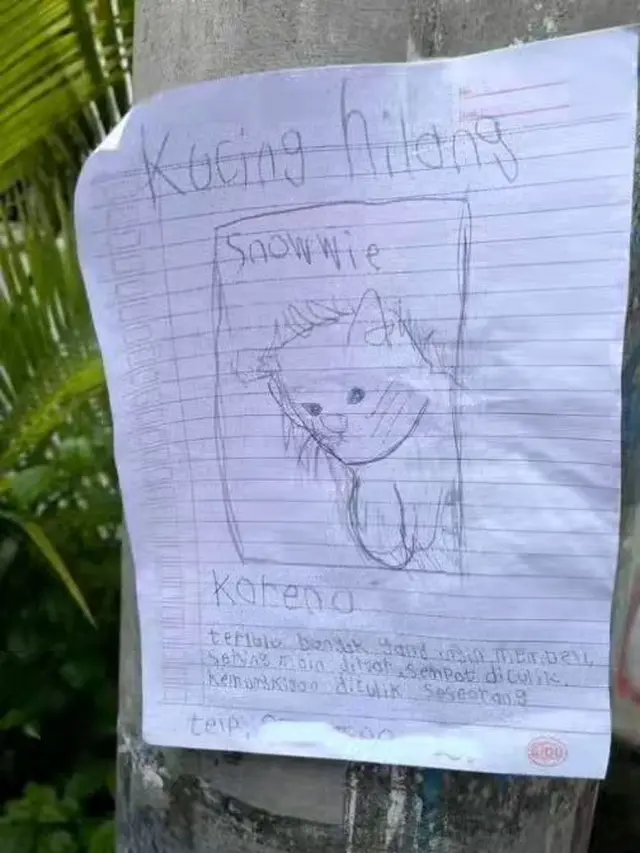 6 Gambar Nyeleneh di Selebaran Pengumuman Kucing Hilang Ini Kocak