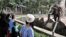Sejumlah warga melihat gajah Sumatera di Taman Margasatwa Ragunan, Jakarta, Senin (26/6). Lebaran hari ke-2, Kebun Binatang Ragunan diserbu warga yang ingin menikmati waktu libur bersama keluarga. (Liputan6.com/Yoppy Renato)