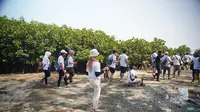 Penanaman mangrove dan transplantasi terumbu karang dilakukan PT Pertamina International Shipping (PIS) dengan menggandeng Yayasan Penyelam Lestari Indonesia atau Divers Clean Action (DCA).