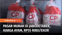 Untuk menekan lonjakan harga ayam RAS. Pemerintah menggelar pasar murah di kawasan Jabodetabek. Masyarakat bisa mendapatkan daging ayam dengan harga Rp 35 ribu per ekor.