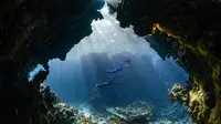 Wisata Selam di Indonesia Makin Digemari, Kemenpar Fokus Perbesar Pasar dan Perbaiki Tata Kelola