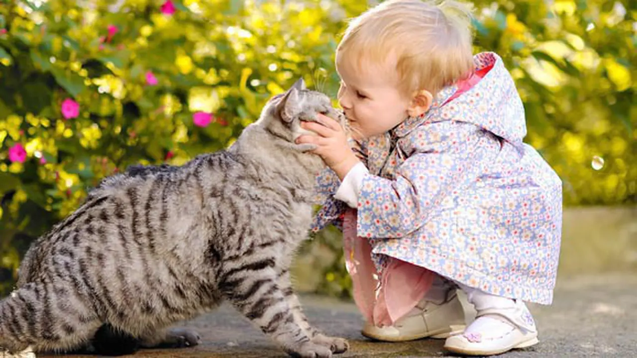 Foto: copyright by shutterstock.com
