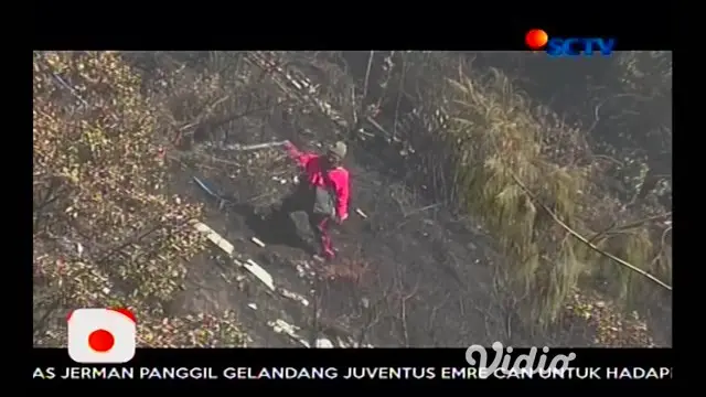 Hutan Lereng Gunung Bromo jalur wisata penanjakan, Pasuruan, Jawa Timur serta Hutan Taman Nasional Gunung Merapi, Magelang terbakar.