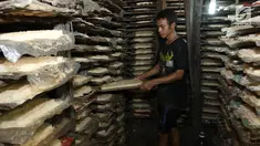 Pekerja menjemur oncom yang sudah dicetak saat pembuatan di salah satu industri rumahan, Jakarta, Rabu (18/4). Oncom yang diproduksi tersebut di jual Rp 300 per buah. (Liputan6.com/Angga Yuniar)